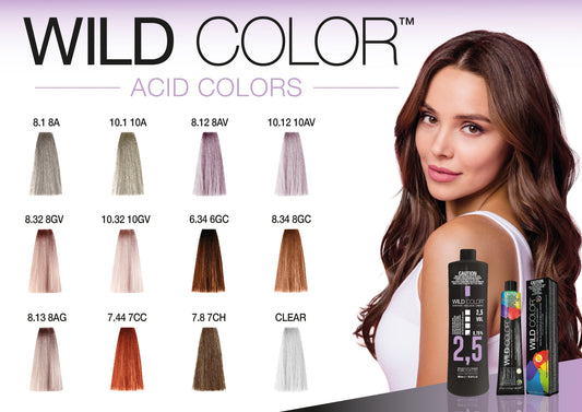 Hair colours Ice hair color highlights