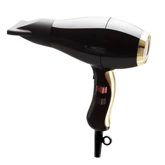 Elchim hair dryer silver